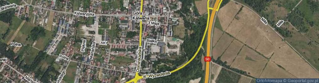 Zdjęcie satelitarne Białka Jana, por. ul.